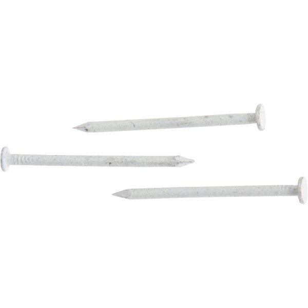 Do it 1-1/4 In. 15 ga White Stainless Steel Trim Nails (649 Ct., 1 Lb.) - Mc Mu