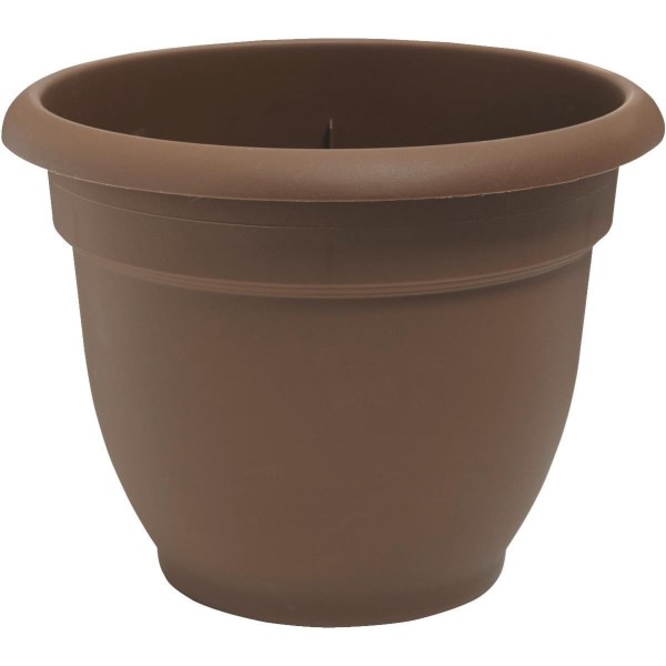 Bloem Ariana 8.8 In. H x 8 In. Dia. Plastic Self Watering Chocolate Planter - Mc Mu