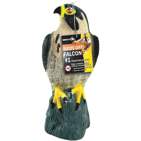 Bird X 17 In. H. x 8 In. Dia. Falcon Pest Deterrent Decoy - Mc Mu